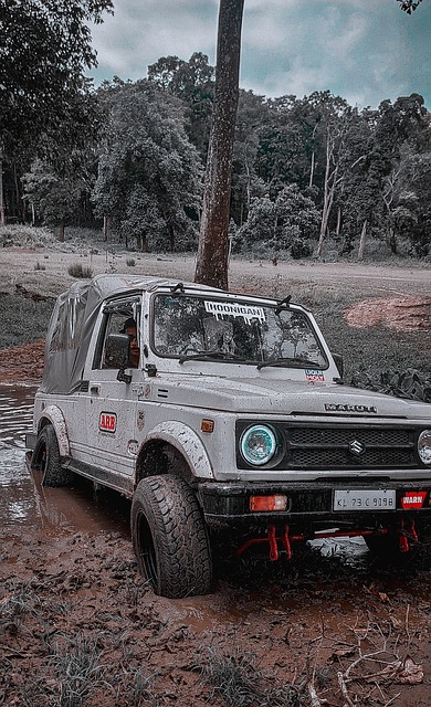 爱德华兹 爱德华兹