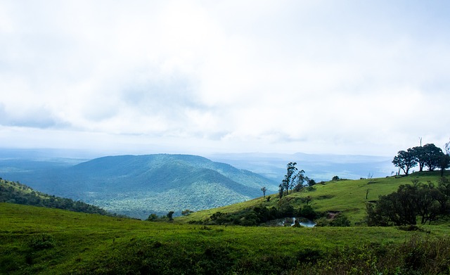 压制对手 压制对手