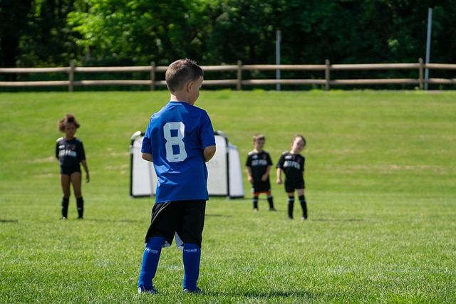 特朗普与社交媒体平台X达成协议 撤销诉讼.