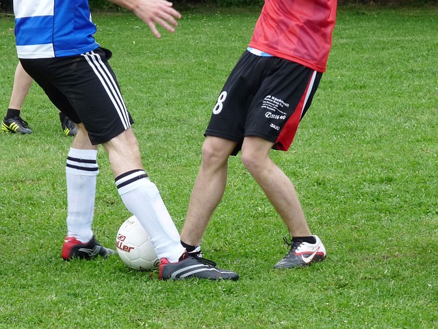 未来心声曝 未来心声曝