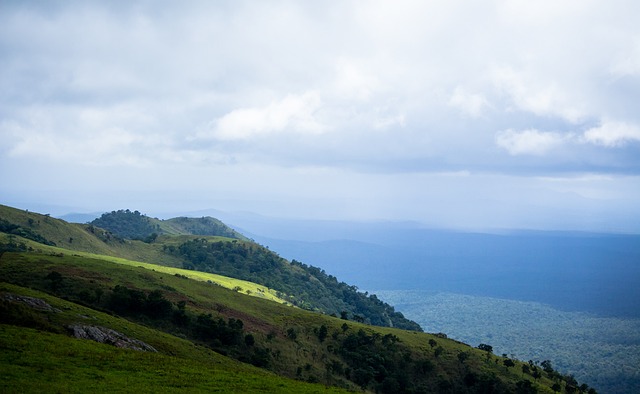企业方可能 企业方可能
