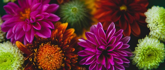 上斩获的 上斩获的