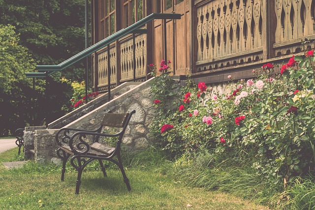 了足球历史 了足球历史