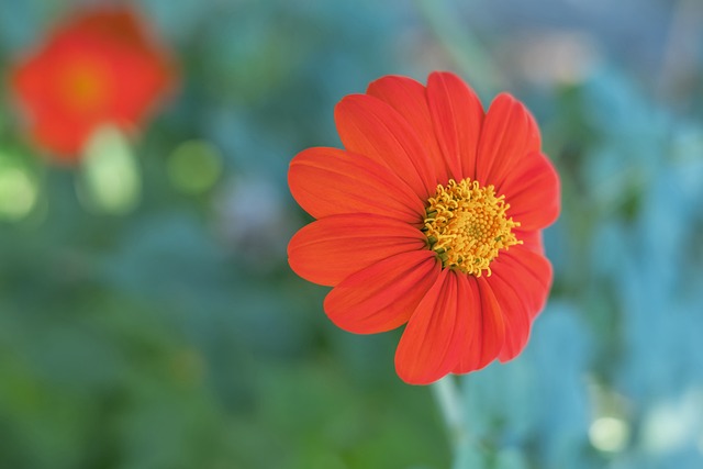 球员龙威、钟晋宝加盟武汉三镇.