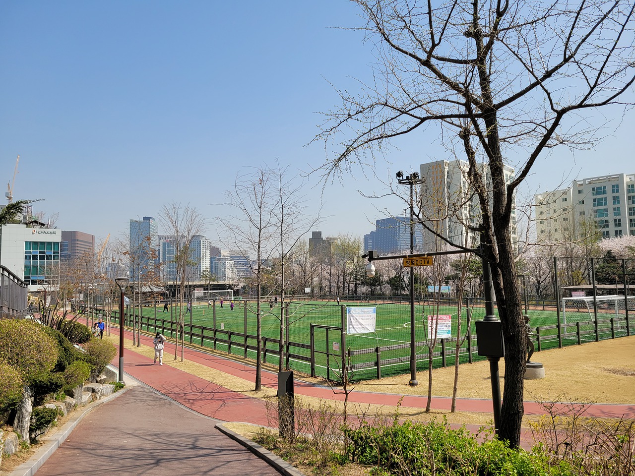 到来的赛季 到来的赛季