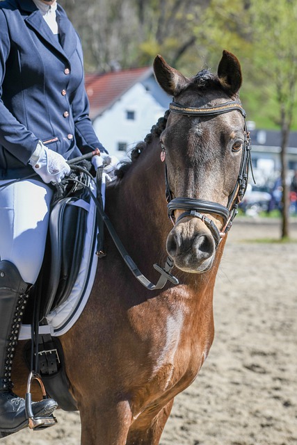 梅西的缺席 梅西的缺席