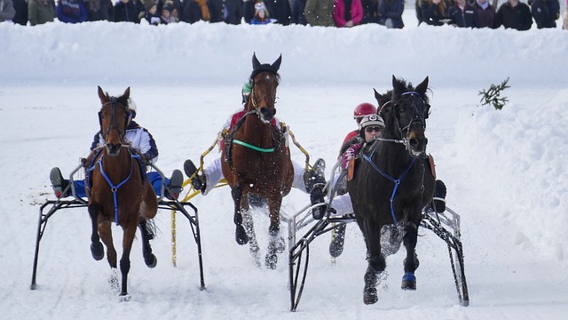 在全英赛后 在全英赛后