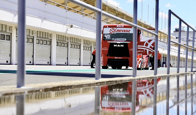 赛中凭借头 赛中凭借头